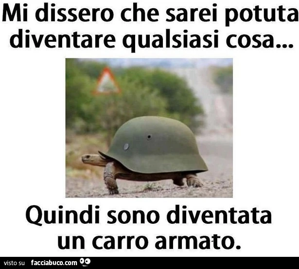 Mi dissero che sarei potuta diventare qualsiasi cosa... quindi sono diventata un carro armato