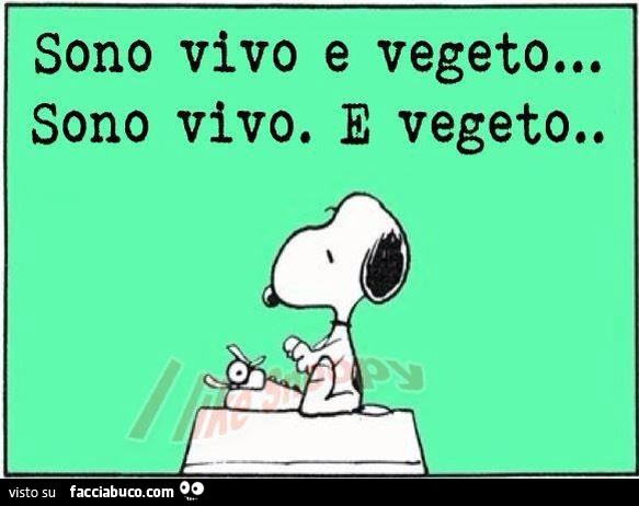 Sono vivo e vegeto. Sono vivo. E vegeto