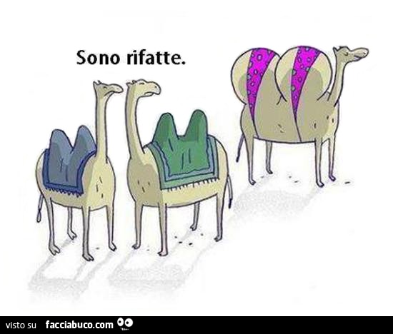 Gobbe. Sono rifatte