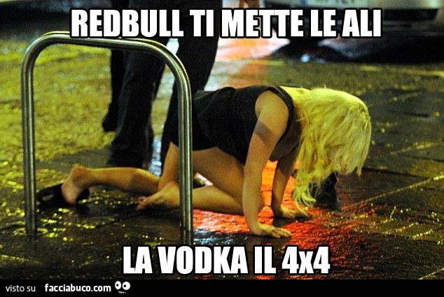 Redbull ti mette le ali, la Vodka il 4x4