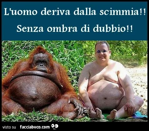 L'uomo deriva dalla scimmia senza ombra di dubbio