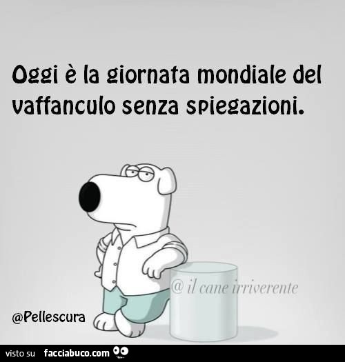 Oggi è la giornata mondiale del vaffanculo senza spiegazioni