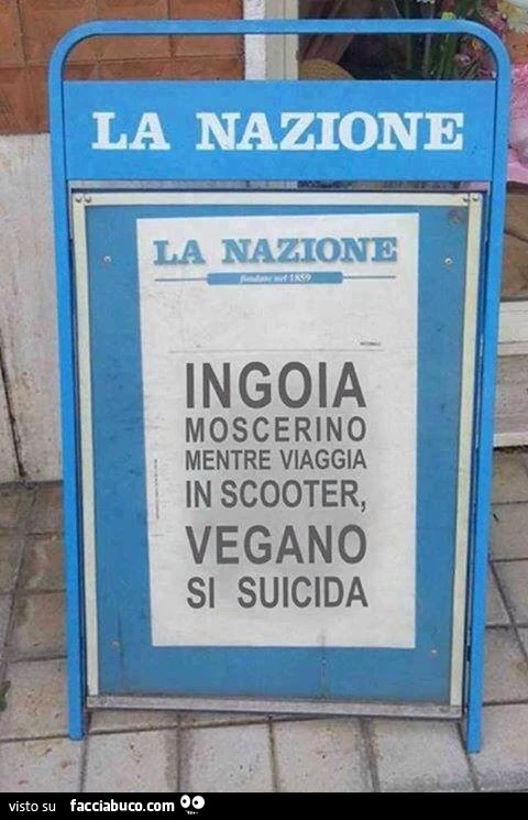 La Nazione: ingoia moscerino mentre viaggia in scooter, vegano si suicida