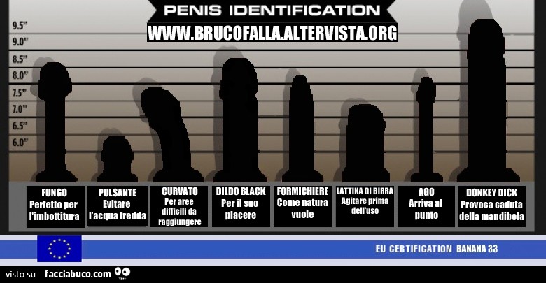 posizione di riposo del pene