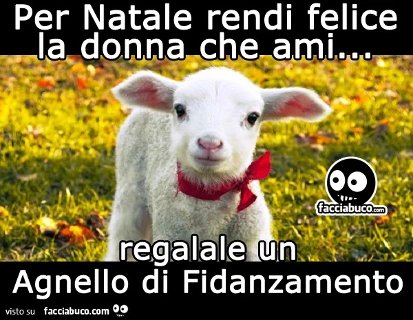 Per Natale rendi felice la donna che ami. Regalale un agnello di fidanzamento