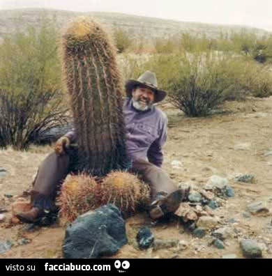 Cazzo cactus