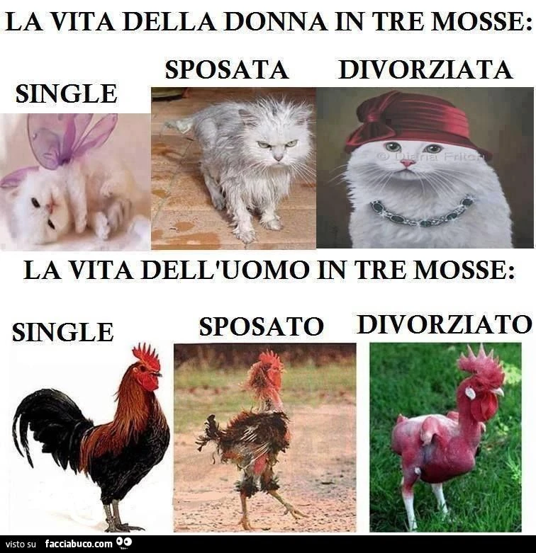 la vita delle donne e degli uomini in 3 mosse