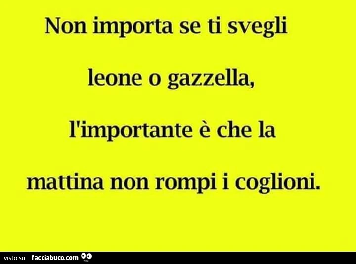 Non importa se ti svegli leone o gazzella, l'importante è che la mattina non rompi i coglioni