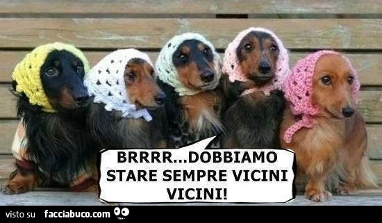 Brrrr dobbiamo stare sempre vicini vicini