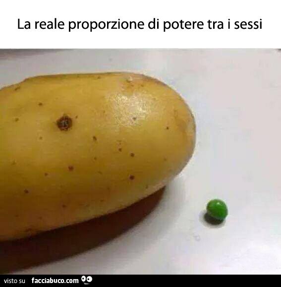 La reale proporzione di poteri tra i sessi