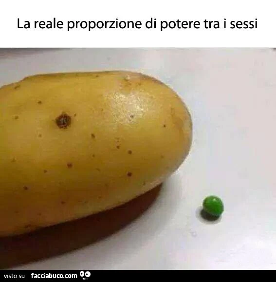 La reale proporzione di potere tra i sessi&hellip;