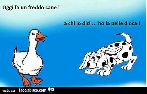 un oca e un cane oggi fa un freddo cane, a chi lo dici, ho la pelle d'oca