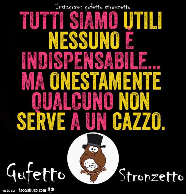 Tutti Siamo Utili Nessuno è Indispensabile Chi L'ha Detto Tutti siamo utili nessuno è indispensabile ma onestamente qualcuno non
