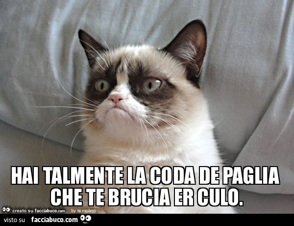 Hai talmente la coda de paglia che te brucia er culo