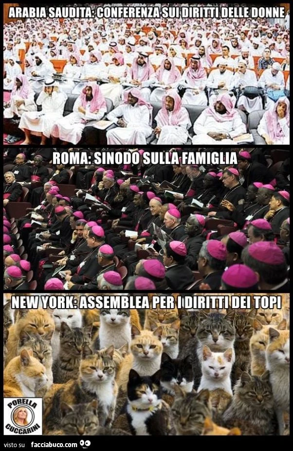 Arabia Saudita: conferenza sui diritti delle donne. Roma: sinodo sulla famiglia. New York: assemblea per i diritti dei topi