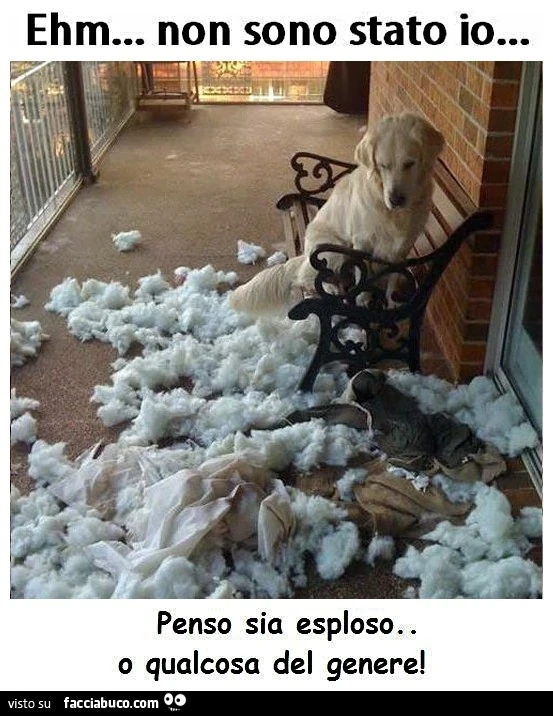 Non sono stato io, penso sia esploso o qualcosa del genere