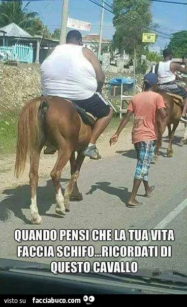 Quando pensi che la tua vita faccia schifo, ricordati di questo cavallo