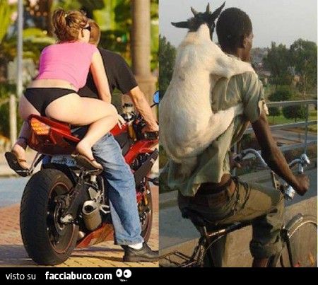 C'è chi in moto si porta dietro la ragazza, c'è chi in bici si porta dietro la capra