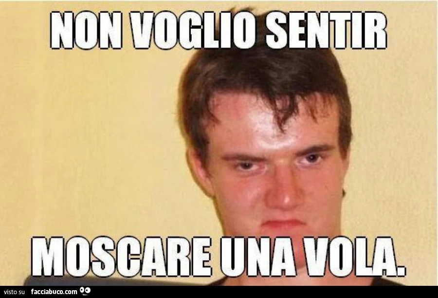 Non voglio sentir moscare una vola