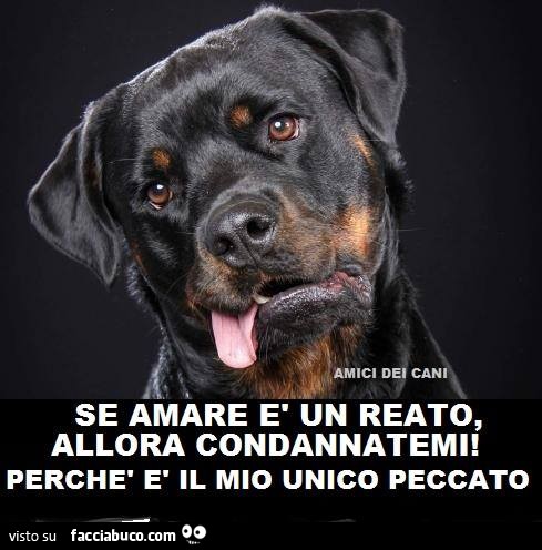 Se amare è un reato allora condannatemi! Perchè è il mio unico peccato