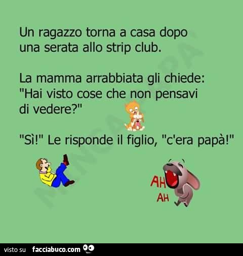 Un ragazzo torna a casa dopo una serata allo strip club. La mamma arrabbiata gli chiede: hai visto cose non pensavi di vedere? Si. Le risponde il figlio, c'era papà