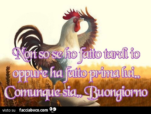 Non so se ho fatto tardi io oppure ha fatto prima lui, comunque sia