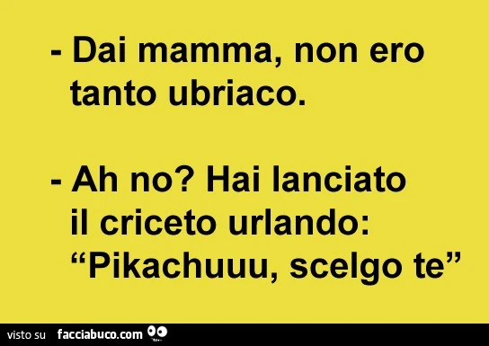 Dai mamma non ero tanto ubriaco. Ah no? Hai lanciato il criceto urlando: Pikachuuu, scelgo te