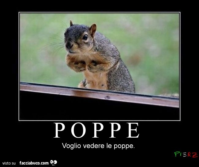 Poppe. Voglio vedere le poppe