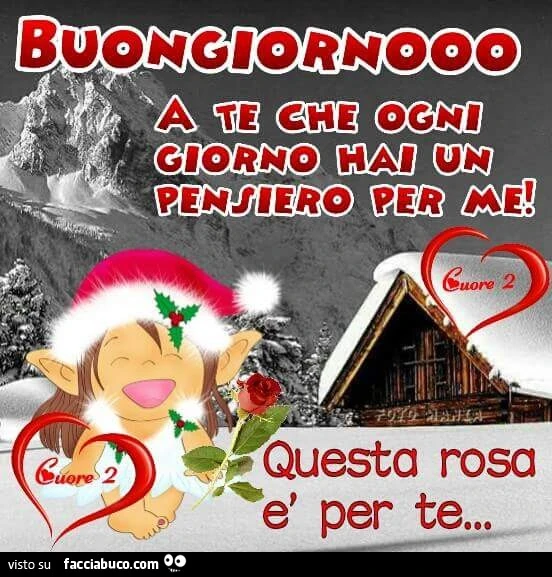 Buongiorno a te che ogni giorno hai un pensiero per me! Questa rosa è per te