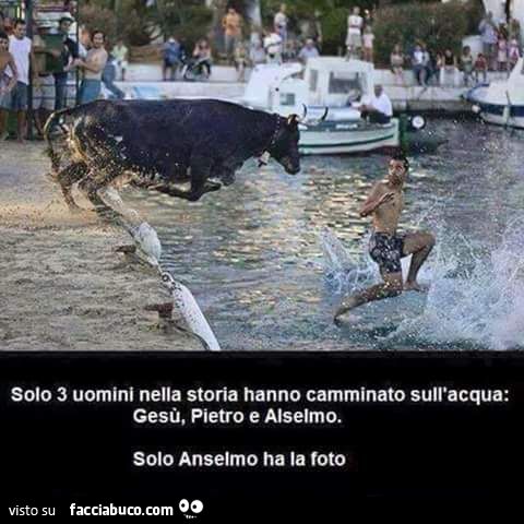Solo 3 uomini nella storia hanno camminato sull'acqua: Gesù, Pietro e Anselmo. Solo Anselmo ha la foto