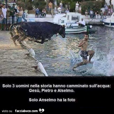 Vaccata