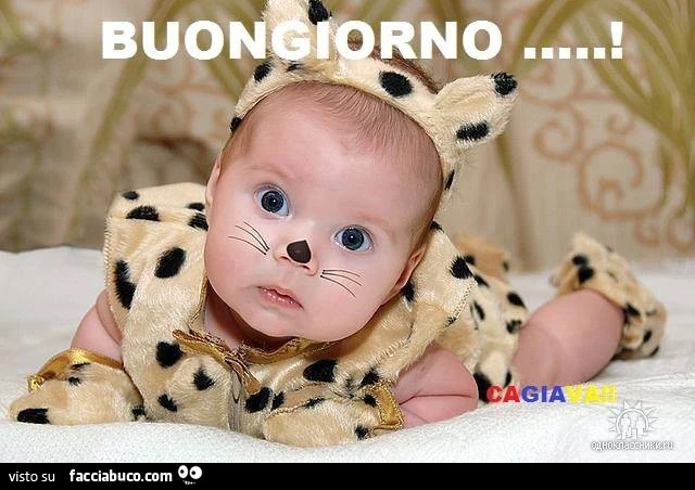 Buongiorno dal neonato vestito da cucciolo di ghepardo