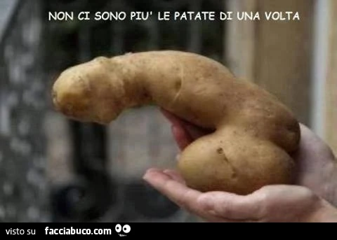 Non ci sono più le patate di una volta