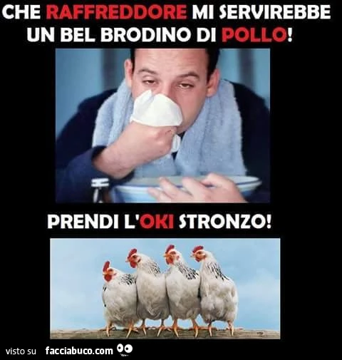 Che raffreddore, mi servirebbe un bel brodino di pollo. Prendi l'OKI stronzo