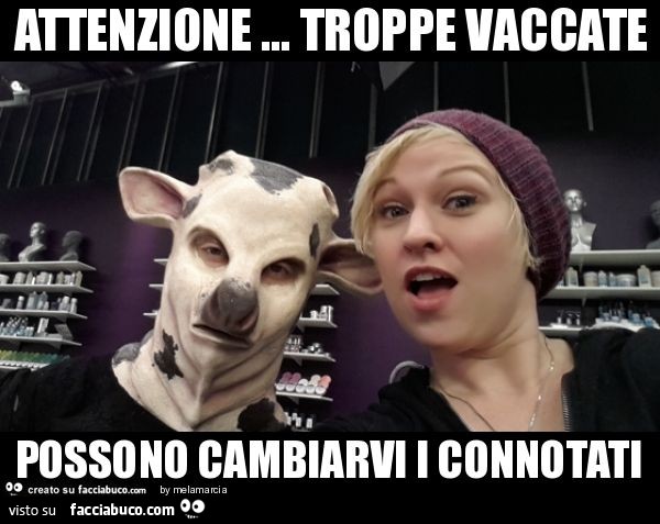 Attenzione … troppe vaccate possono cambiarvi i connotati
