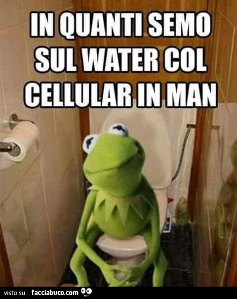 In quanti semo sul water col cellular in man?