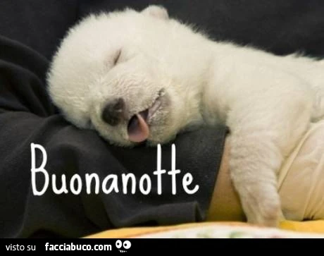 Cagnolino addormentato con la lingua di fuori: buonanotte