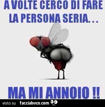 A volte cerco di fare la persona seria... ma mi annoio