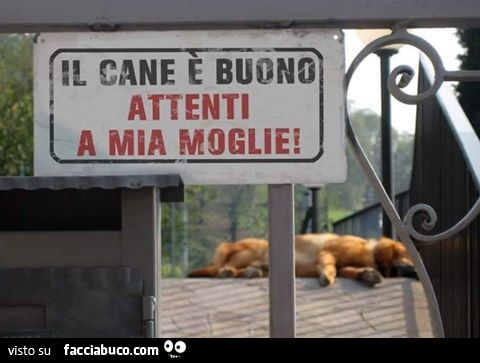 Il cane è buono, attenti a mia moglie