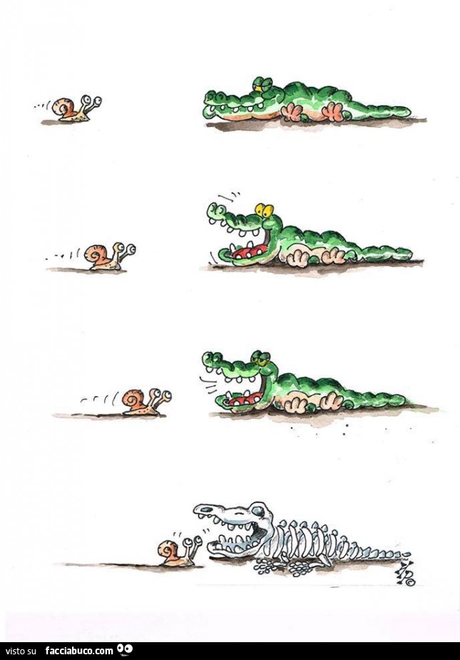 Coccodrillo vs Lumaca