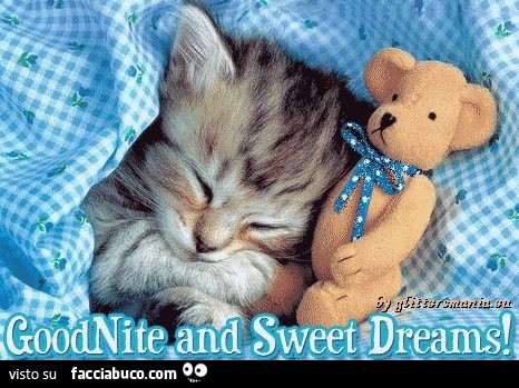 Buonanotte e dolci sogni dal gattino col peluche