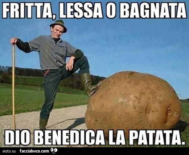 Fritta, lessa o bagnata, Dio benedica la patata