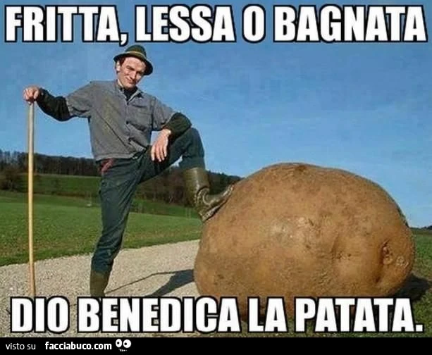 Fritta, lessa o bagnata, Dio benedica la patata