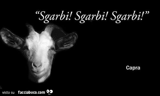 Sgarbi! Sgarbi! Sgarbi! Capra