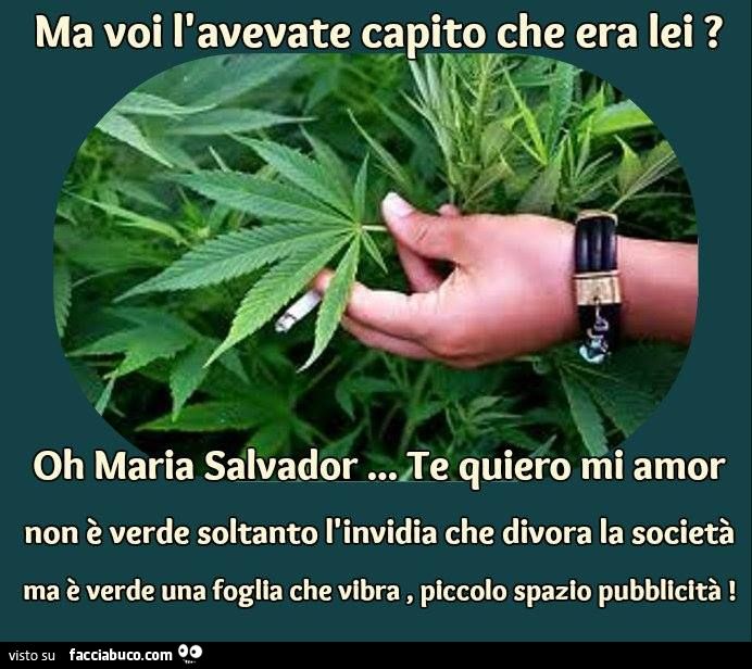 Ma voi lo avevate capito che Oh Maria Salvador, Te quiero mi amor era la mariuana?