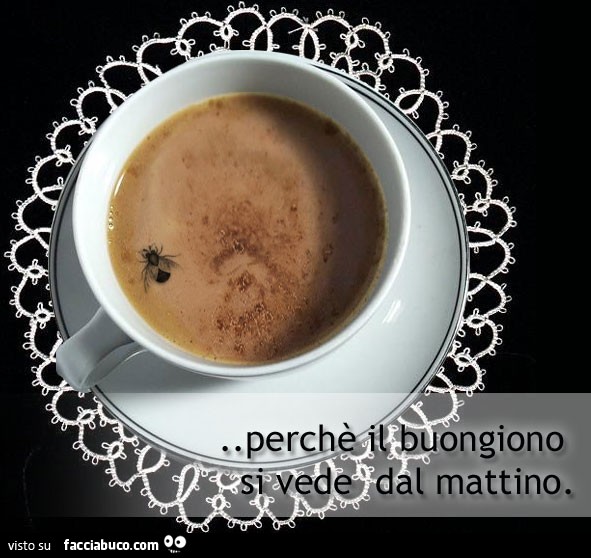 Mosca Nel Caffe Perche Il Buongiorno Si Vede Dal Mattino Facciabuco Com