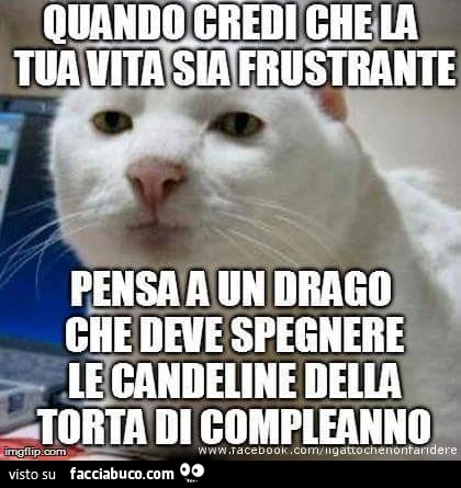 Quando credi che la tua vita sia frustrante pensa a un drago che deve spegnere le candeline della torta di compleanno