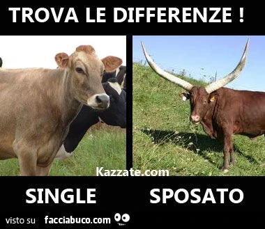 Trova le differenze: single vs sposato