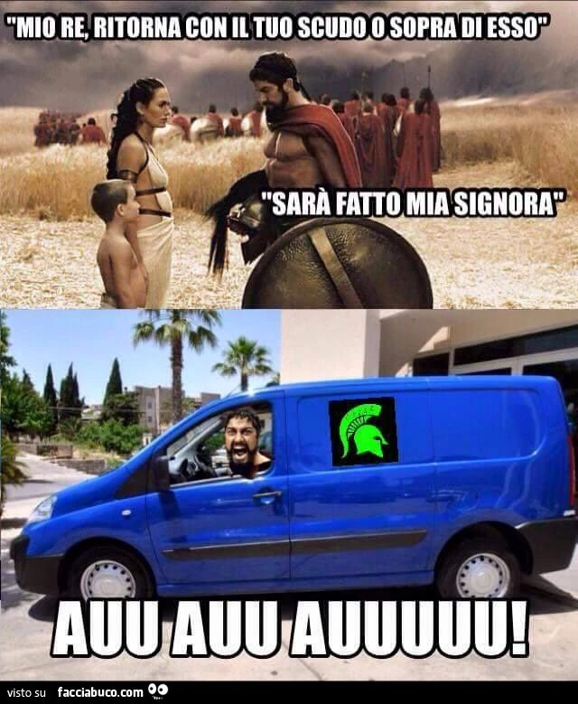 300 Nuova gamma fiat spartan
