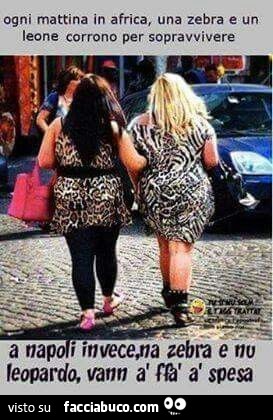 Ogni mattina in Africa, una zebra e un leone corrono per sopravvivere. A Napoli invece, na zebra e nu leopardo, vann a ffà à spesa